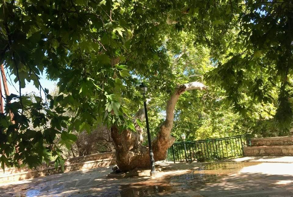Ioli'S Apartments Архангелос Екстериор снимка